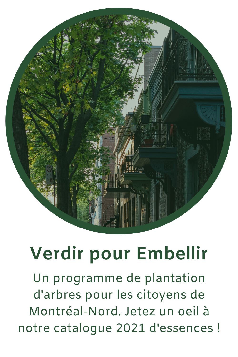 Un programme de plantation d'arbres pour améliorer le cadre de vie des citoyens de l'arrondissment et augmenter la canopée de Montréal-Nord.